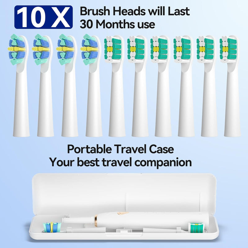 Seago electric toothbrush heads with a portable travel case on a light blue background